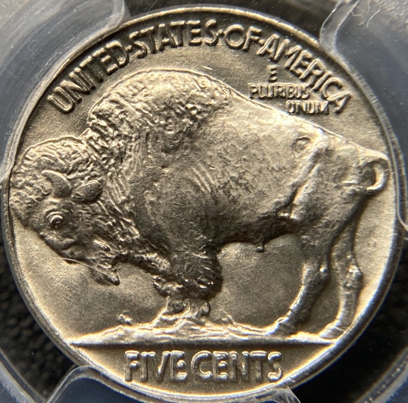 1937-Buffalo-Nickel,-You-Vs.-PCGS